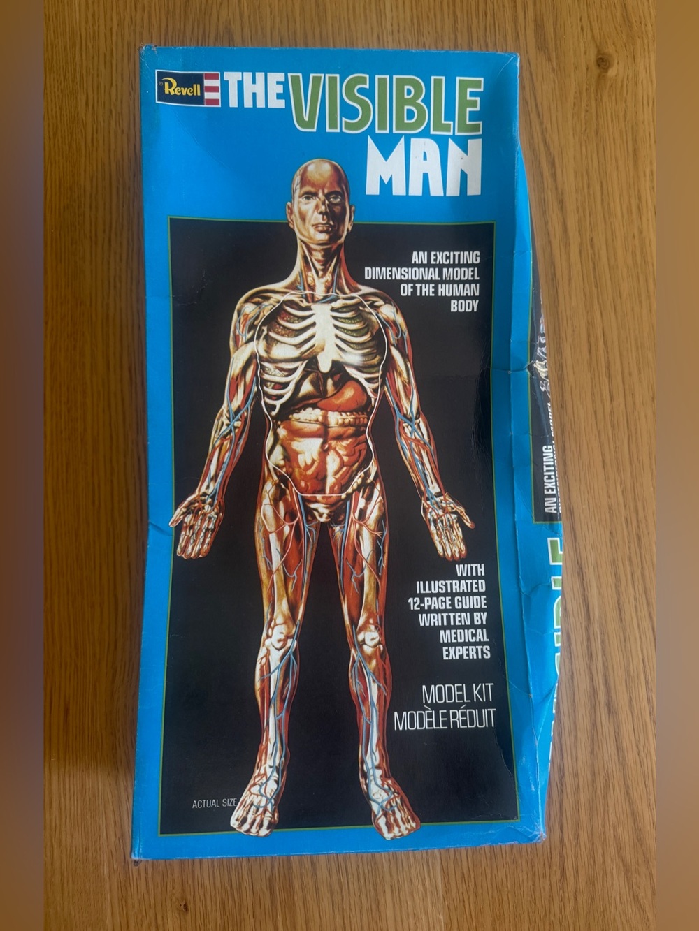 Revell Invisible Man